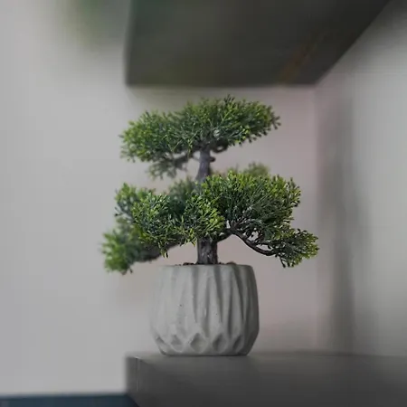 Mega Luxury Villa Rrushkull (Durres)