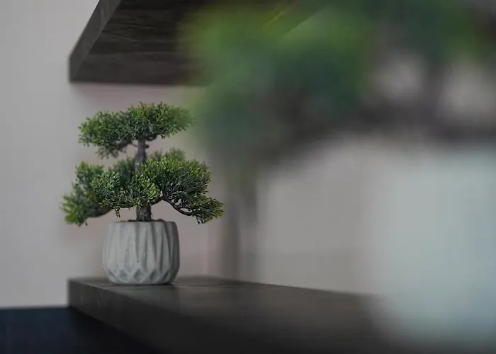 Mega Luxury Rrushkull (Durres)