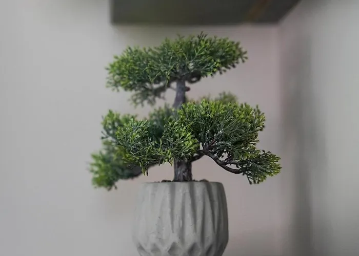 Mega Luxury Villa Rrushkull (Durres)